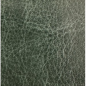 Cowhide_5204